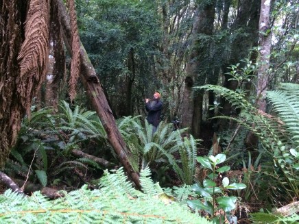 Adam Page playing bansuri in Seaward bush reserve.