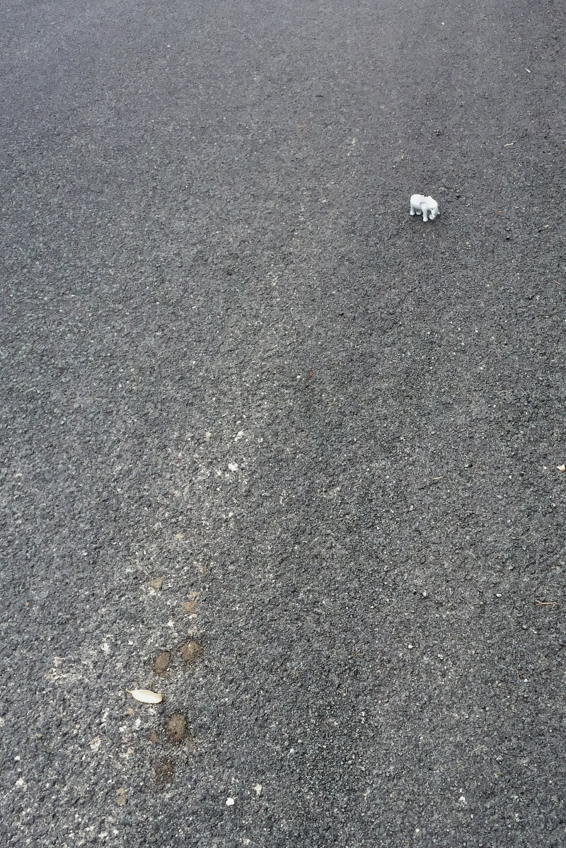 photographic accompaniment to sonic art piece.