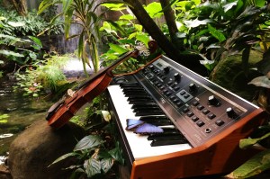 synth and butterflies